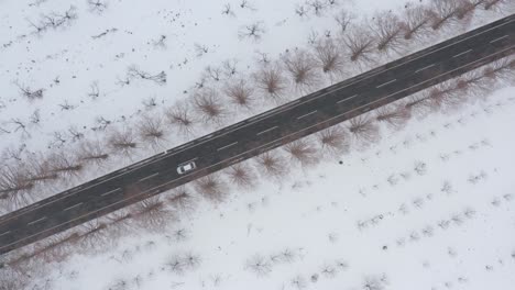 Car-drives-diagonally-down-tree-line-snowy-road-in-Japan,-Shiga-Prefecture