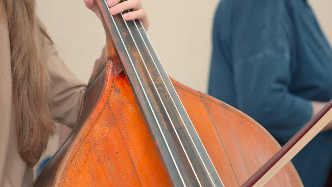 Close-up of a contrabass and bow