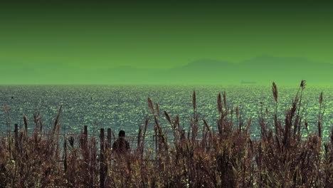 green sky, blue sea, red grass, colorful landscape, cinematic