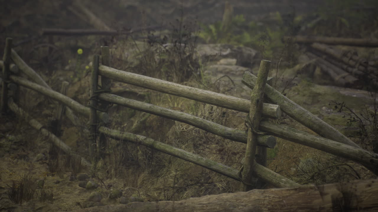 Scenic rustic wooden fence in a serene forest during early morning mist