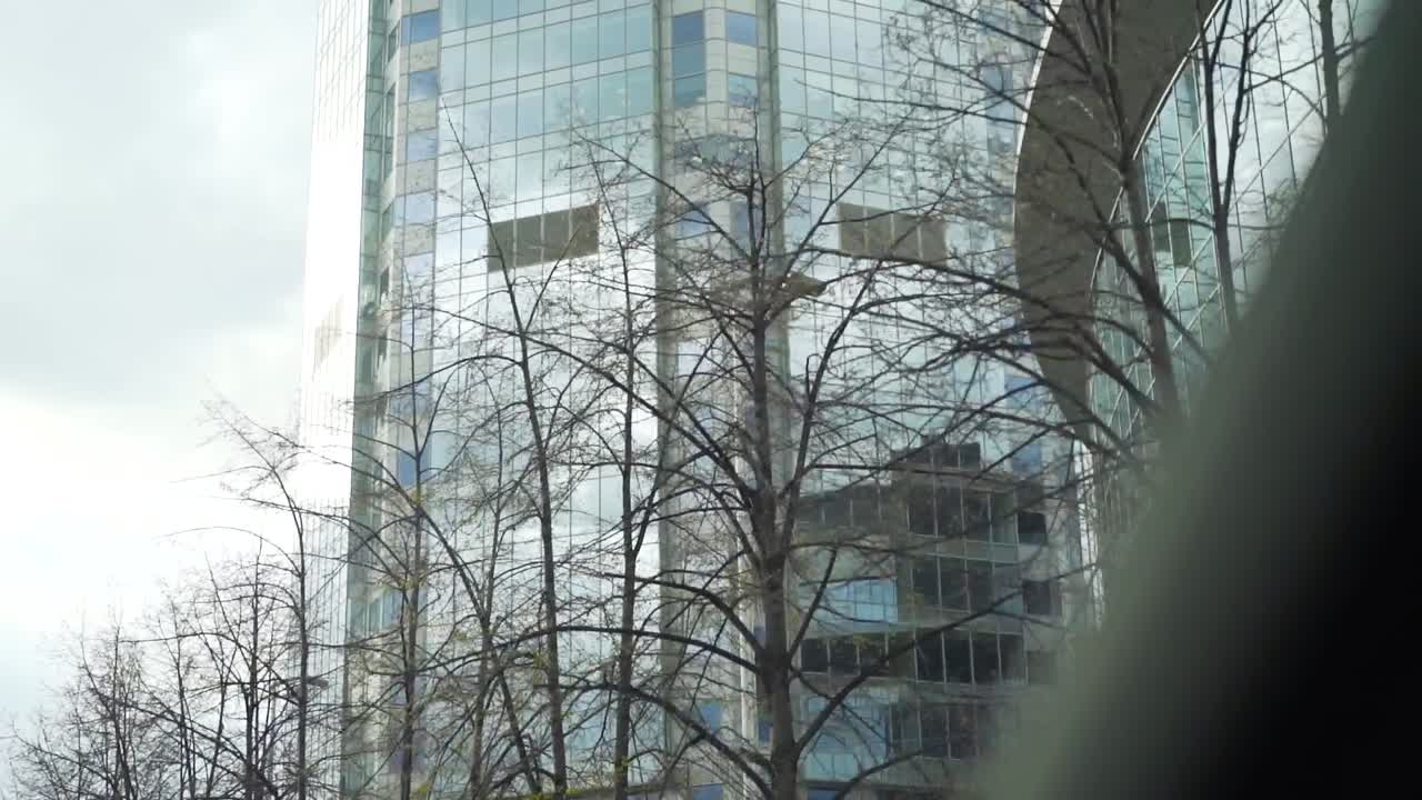 rascacielos moderno con árboles desnudos