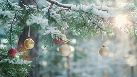 Weihnachtskugeln-Hängen-An-Einem-Grünen-Zweig-Eines-Baumes-Des-Neuen-Jahres-In-Einem-Winterwald-Bei-Sonnenuntergang