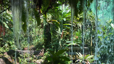 selva verde exuberante vista desde detrás de cascadas de agua y follaje vibrante