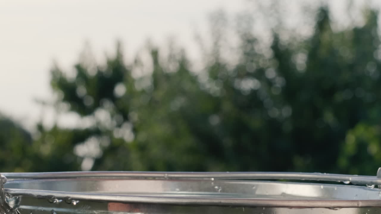 잘 익은 토마토가 물통에 빠지다 2