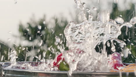 les tomates mûres tombent dans un seau d'eau 2