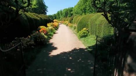 ornate wrought iron gate opens to a bright garden path lined with flowering bushes and hedges. location: heveadorp, netherlands, gelderland