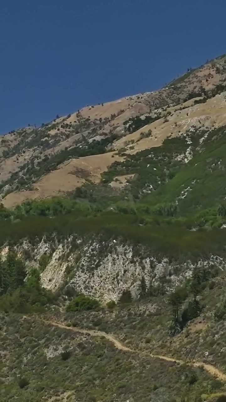Kaliforniya'daki yeşil ve kahverengi manzaralı tepelerin havadan görünümü.