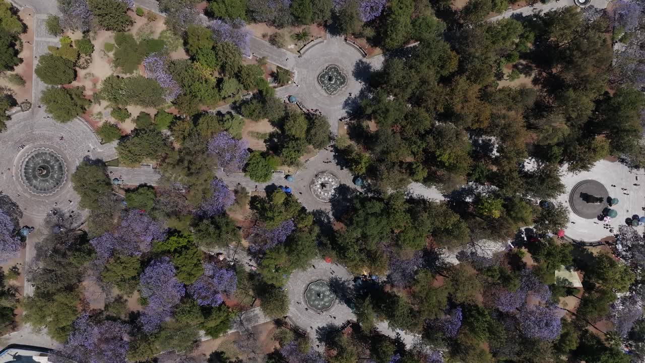 Alameda Park, Mexico City, Morning, aerial shot, nature, Mexico, trees, Big City