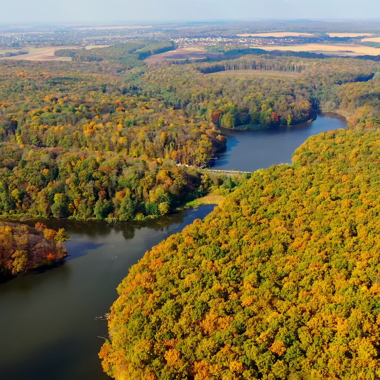 Seasonal outdoor trees landscapes. Golden yellow autumn forest aerial shot