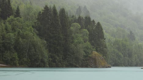 rain over forest beautiful nature norway