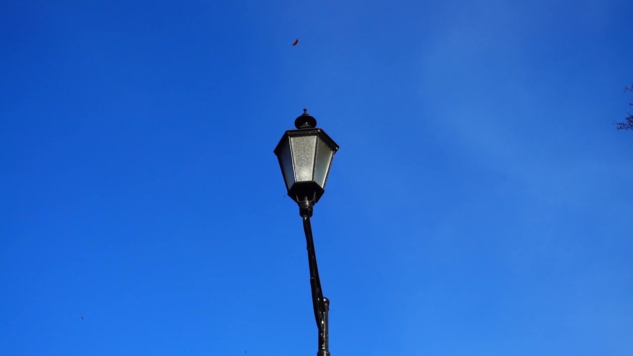 Una lanterna nel parco sullo sfondo del cielo. Foglie che cadono a novembre