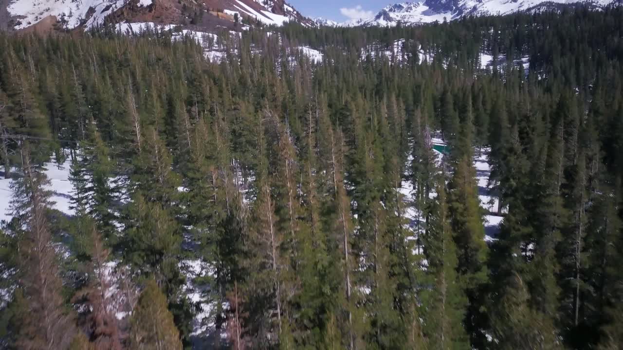 천천히 그리고 점진적으로 숲 위로 기울어져 눈으로 인 웅장한 산을 드러니다.