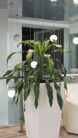 a modern indoor setting featuring five potted plants positioned on either side of a glass elevator. a white chair is in the background, along with large windows and glass railings