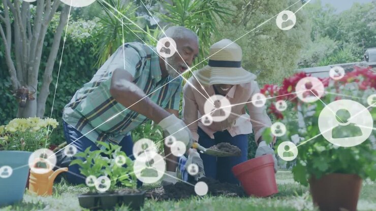 Rete di icone profilo su coppia anziana afroamericana che fa giardinaggio insieme in giardino.