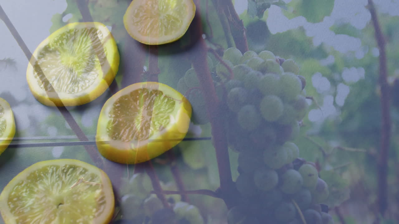 Lemons and grapevines creating vibrant animation overlay in fresh composition