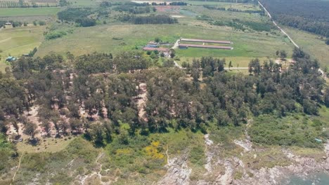 Drone-moving-on-green-landscape