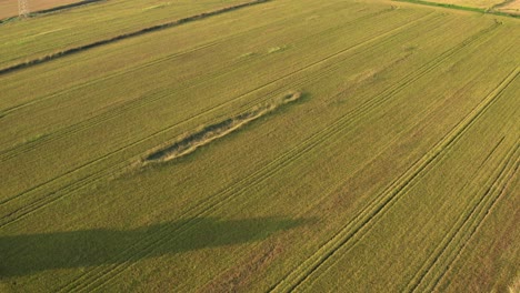 Impresionante-Vista-De-Drones-De-Los-Campos-De-Arroz-Al-Norte-De-Italia,-Lombardía