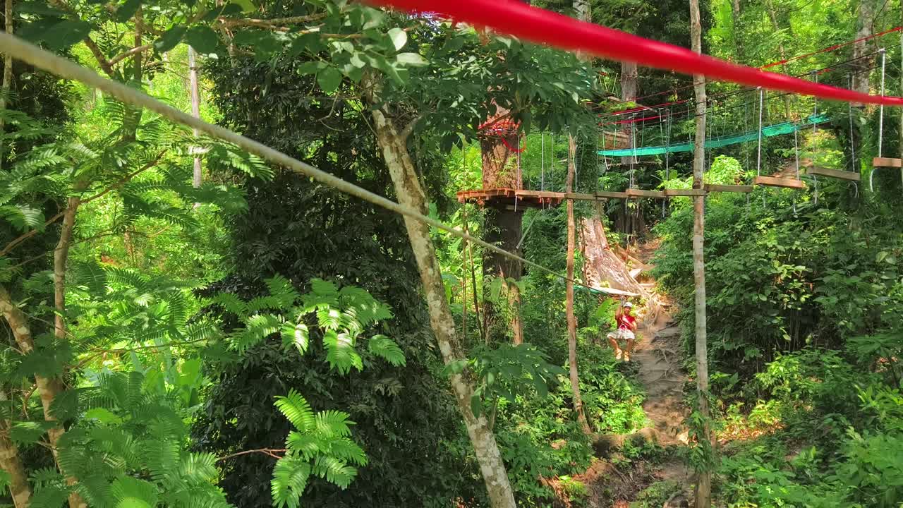 Ziplining Adventure in a Lush Tropical Forest