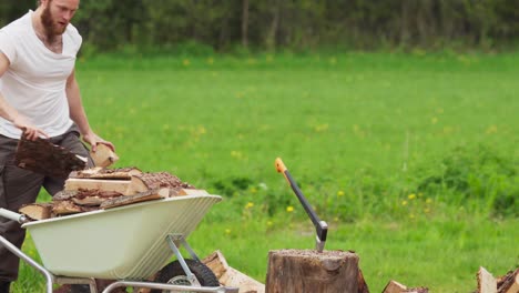 man is placing chop woods over wheelbarrow with green meadow background