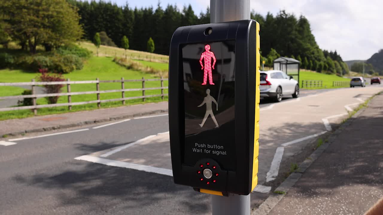 도로를 건너기 위해 버튼을 러