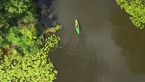 aerial view of tourists, canoe or kayak in forests