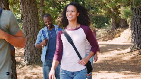 group of young friends on hiking adventure in countryside