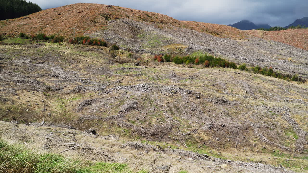 paisaje rural nueva zelanda