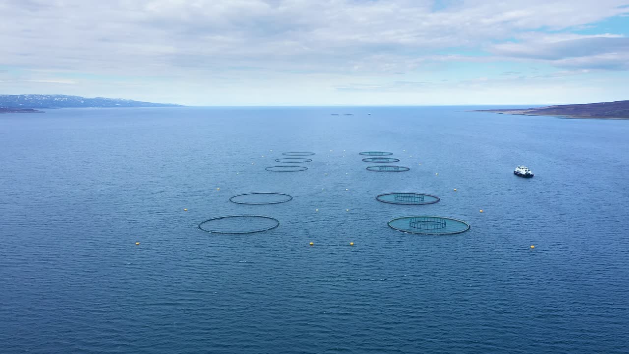 바다 에 있는 어류 농장 의 공중 사진