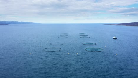 vista aérea de una granja de peces en el océano