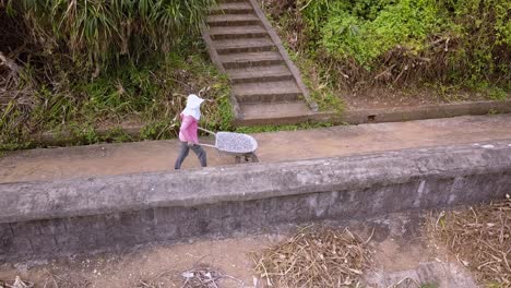 woman with face covered moving a wheelbarrow full of gravel on the island of cat ba vietnam, side view tracking shot