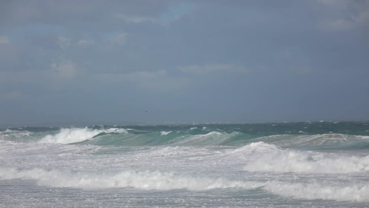 Seagulls flying in storm over bay