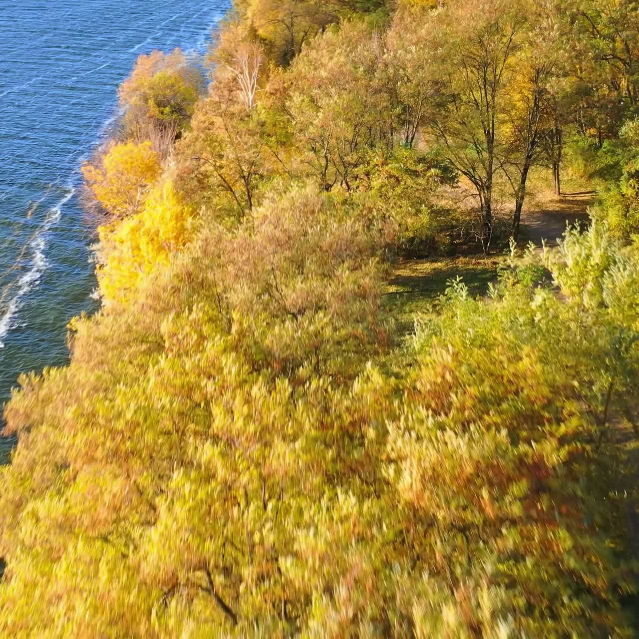 Colorful beautiful yellow foliage scenery. Natural yellow outdoor autumn seasons