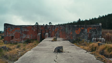 abandoned-roofless-cement-structure-in-a-field-of-serrated-tussock-grass-static-detail-shot