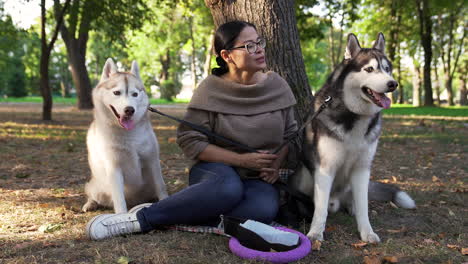 huisdiereigenaar met haar honden