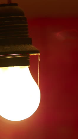 close-up of a lit incandescent light bulb