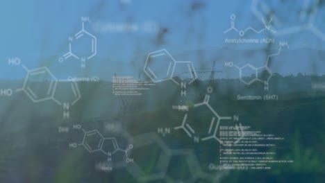 Chemical-structures-with-program-codes-and-a-background-of-grasses-and-transmission-towers-in-a-fiel