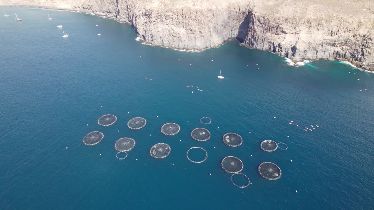 Filmato drone con zoom out che rivela gabbie per acquacoltura marina offshore disposte in mare aperto vicino a una costa frastagliata