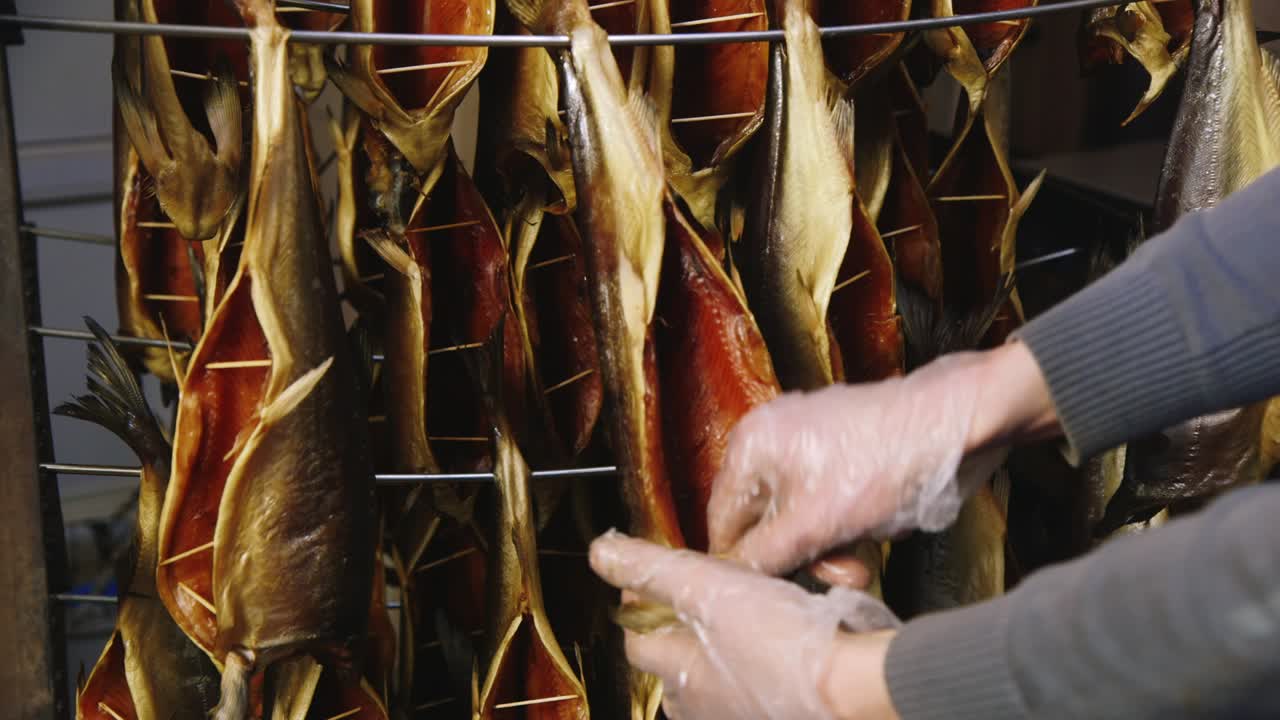 작업자는 흡연을 준비하는 물고기의 배에 스페이서를 삽입합니다.