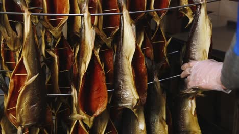 Worker-inserts-spacers-into-the-belly-of-the-fish-preparing-for-smoking