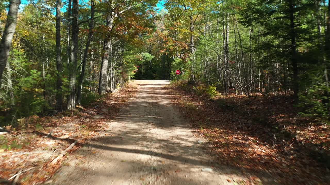 화창한 가을날 숲 한가운데 먼지투성이 시골길 위를 날다