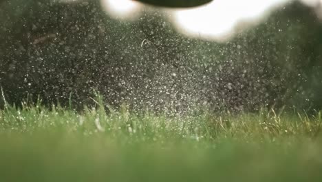 golf club hits a golf ball in a super slow motion. drops of morning dew and grass particles rise into the air after the impact.