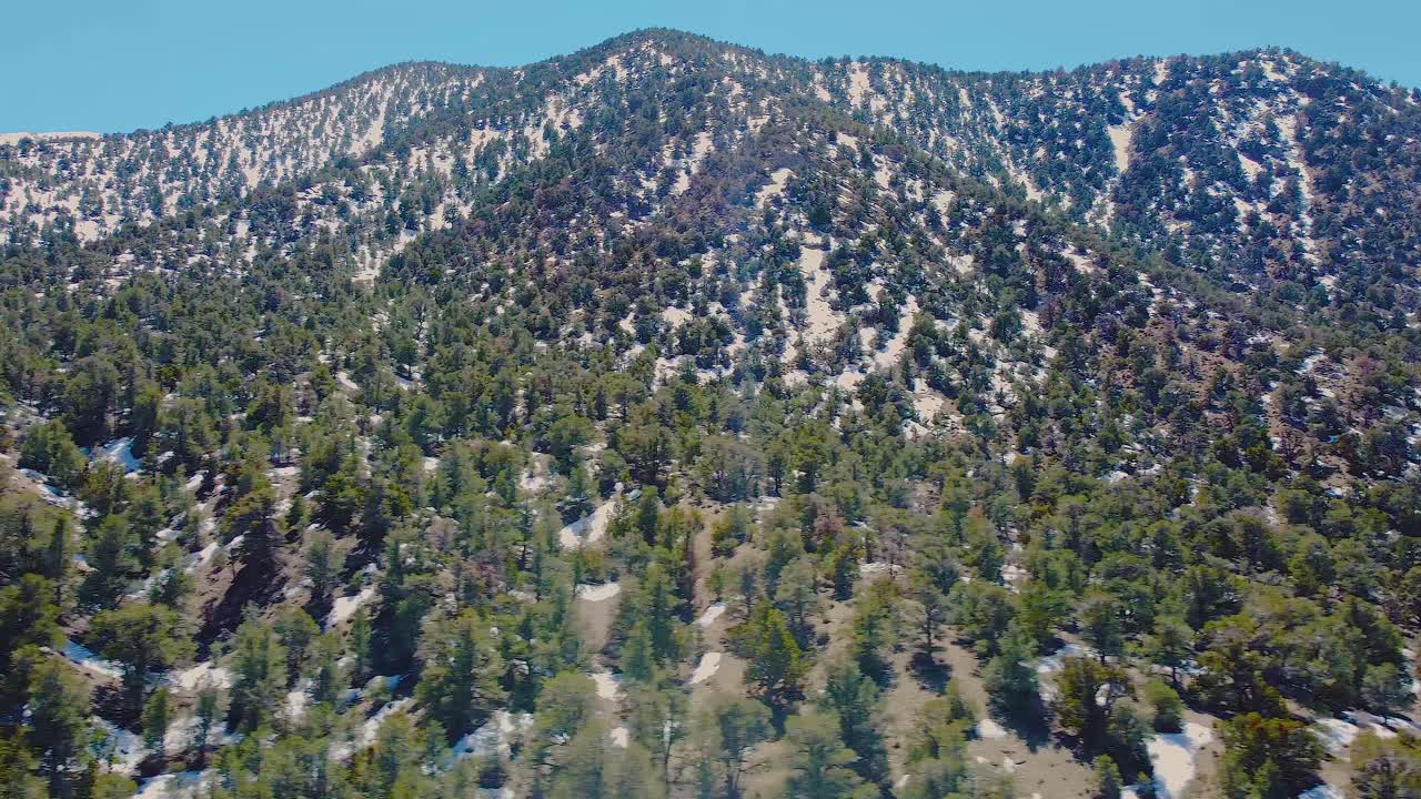 vista aérea de la montaña del bosque de pinos en el parque nacional del valle de la muerte, california, estados unidos