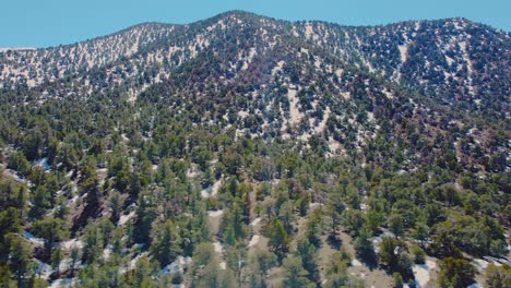 Vista-Aérea-De-La-Montaña-Del-Bosque-De-Pinos-En-El-Parque-Nacional-Death-Valley,-California,-Estados-Unidos