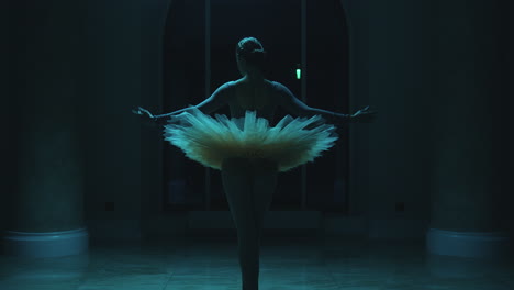 bailarín de ballet en silueta