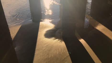 atmospheric beautiful scenery underneath a dock in charleston oregon with sun flare, rays and shadows at sunrise, boats in the background