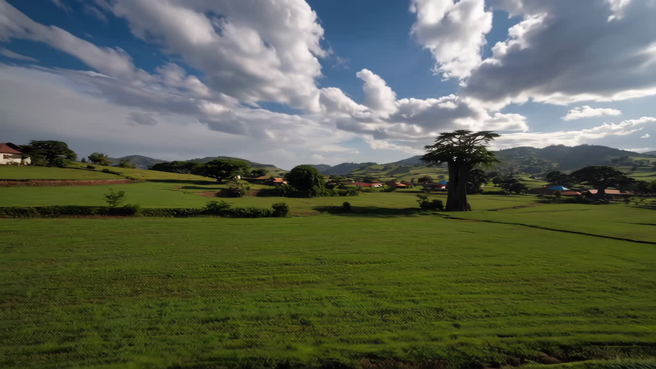 Pemandangan Desa Afrika dengan Pohon Baobab