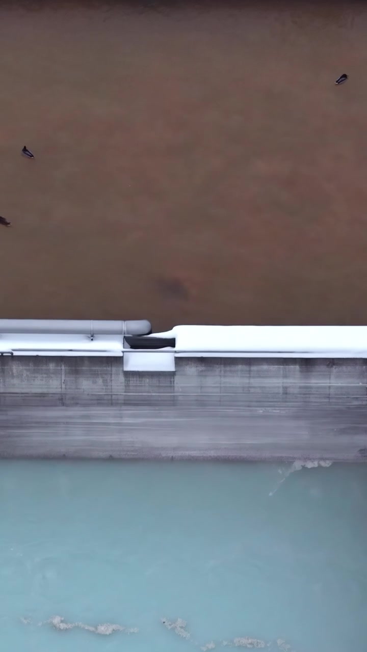 Vista aerea dall'alto di uno stormo di anatre selvatiche che nuotano e sono appollaiate nella vasca di un impianto di trattamento delle acque reflue industriali con serbatoi in cemento.