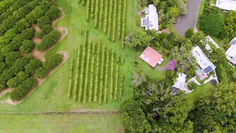 lush farm landscape with nearby residential area