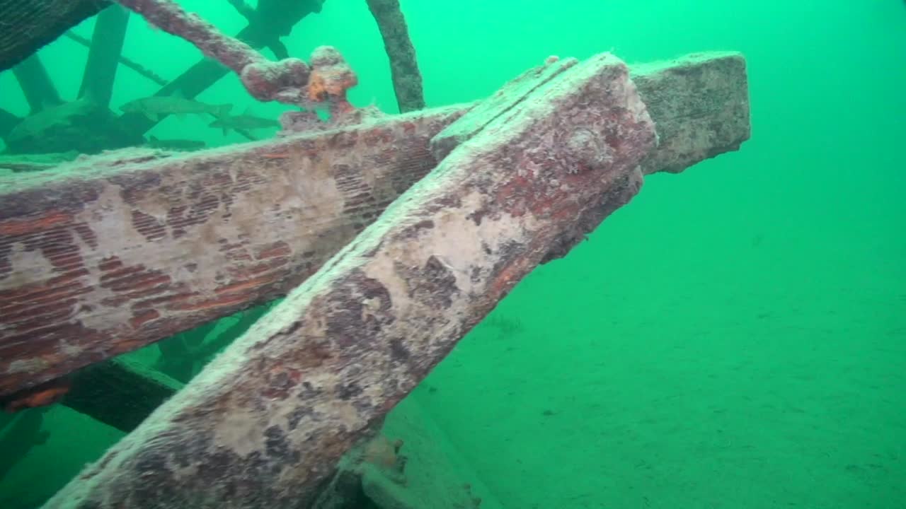 골드러시호 aj goddard의 외륜