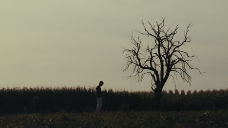 solitary figure and bare tree silhouette in a field at dusk